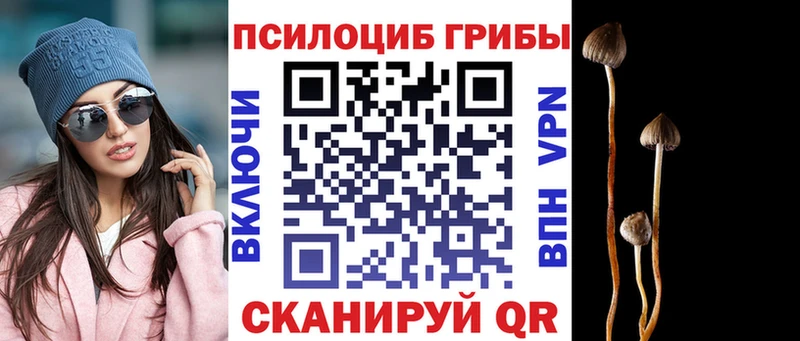 Галлюциногенные грибы мицелий мориарти Telegram Темрюк где купить наркоту