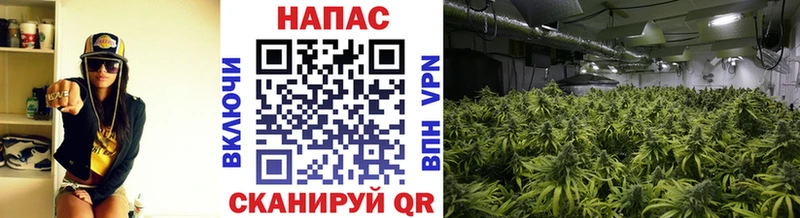 Бошки марихуана AK-47  Темрюк 